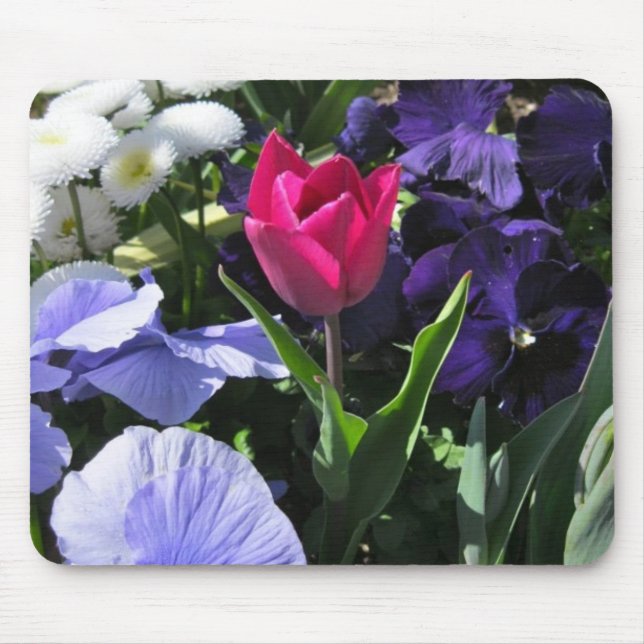 Kleine rosa Tulpe Mousepad (Vorne)