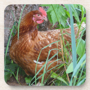 Kleine rote Henne im Gras Untersetzer