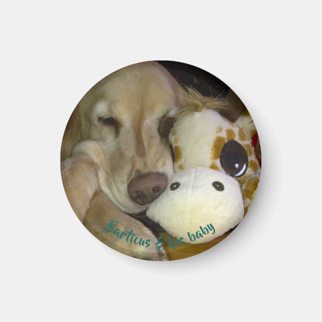 Kleine, runde Barticus und Giraffe Magnet (Vorne)