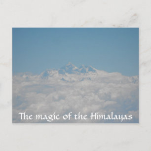 Kleine Saatgutpostkarte 4 Postkarte