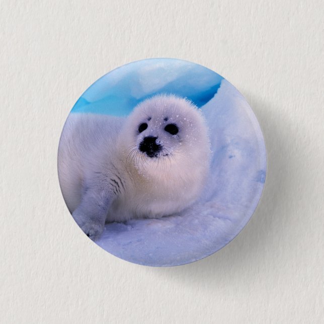 Kleine Sattelrobbenjunge bedeckt mit Schneeflocken Button (Vorderseite)
