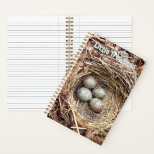 Kleine Schätze Vogelnest-Eier Notizbuch
