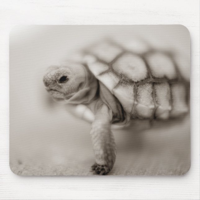Kleine Schildkröte Mousepad (Vorne)