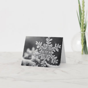 Kleine Schneeflocke Feiertagskarte