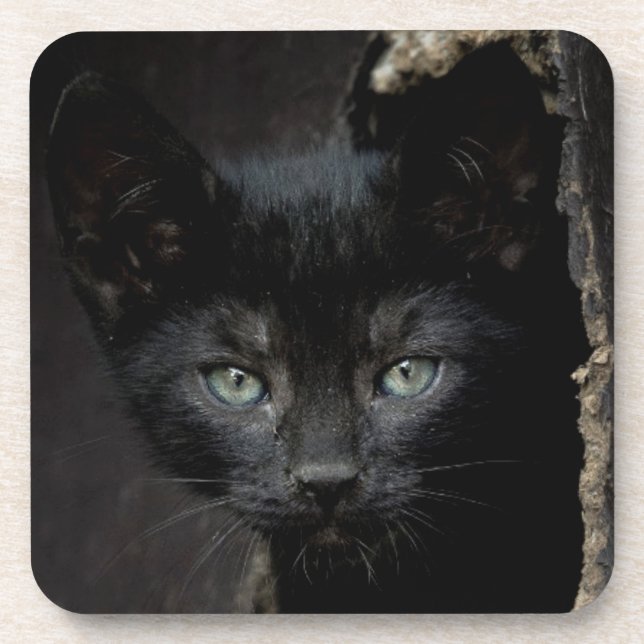 Kleine schwarze Miezekatze Getränkeuntersetzer (Vorderseite)