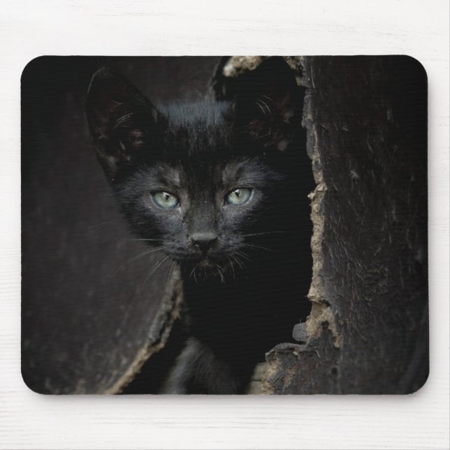 Kleine schwarze Miezekatze Mousepad (Vorne)