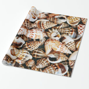 Kleine Seashells Geschenkpapier