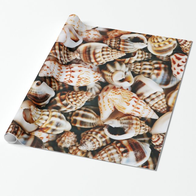 Kleine Seashells Geschenkpapier (Ungerollt)