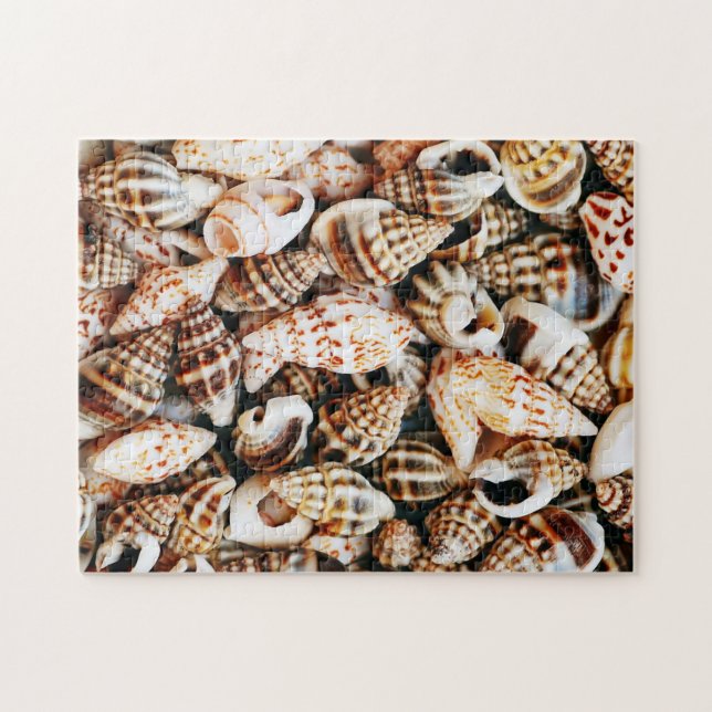 Kleine Seashells Puzzle (Horizontal)