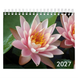 Kleine Seerosen-Kalender 2027 Kalender
