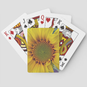 Kleine Sonnenblume Spielkarten