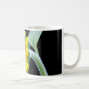 Kleine Sonnenblume Tasse