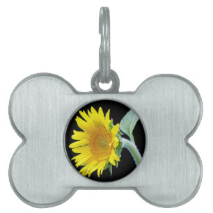 Kleine Sonnenblume Tiermarke