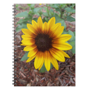Kleine Sonnenblumen auf einem Notebook Notizblock