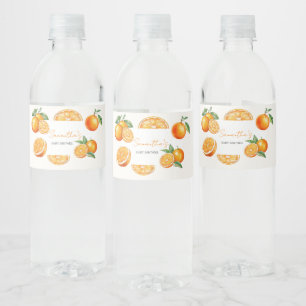 Kleine Süße Orange Baby Shower Wasserflaschenetikett