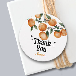 Kleine Süsse Orange Citrus Vielen Dank Geschenkanhänger