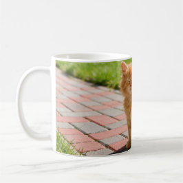 Kleine süße orange Katze Kaffeetasse