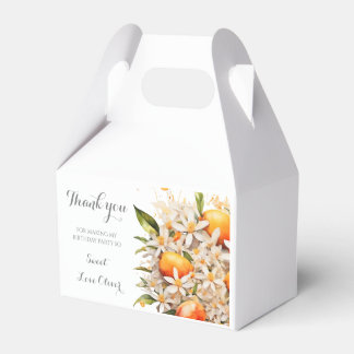 Kleine Süsse Orange Mandarine Baby Dusche Citrus Geschenkschachtel