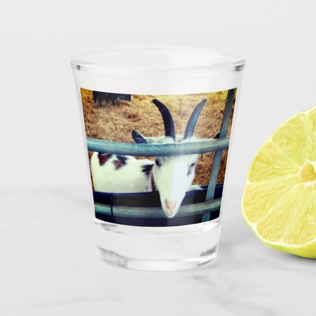 Kleine Süsse Schnapsglas (Vorderseite)