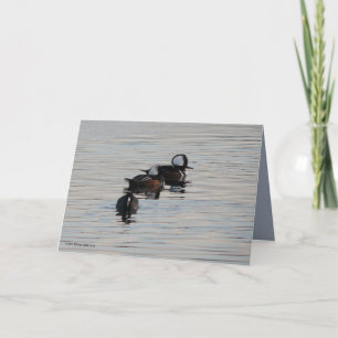 Kleine Taucher Karte