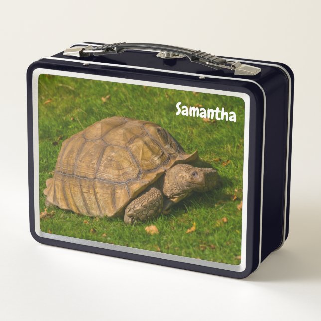 Kleine Tortoise Metal Lunchbox (Rückseite)