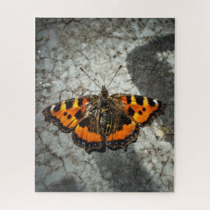 Kleine Tortoiseshel Butterfly Puzzle