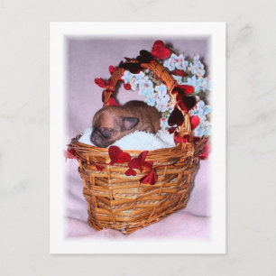 Kleine Überraschungen Postkarte