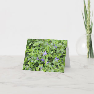 Kleine violette Blumen Feiertagskarte