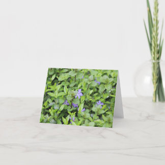 Kleine violette Blumen Feiertagskarte