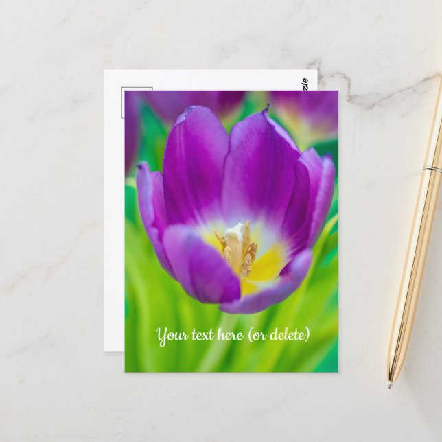 Kleine violette Tulpe Postkarte (Vorderseite/Rückseite Beispiel)