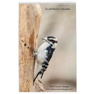 Kleine Vögel 2026 Kalender