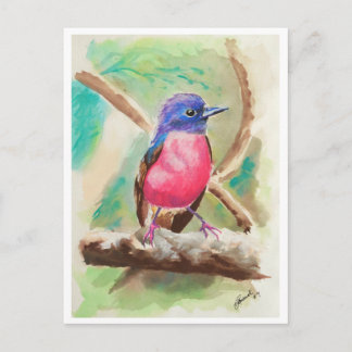 Kleine Vögel #9 Postkarte
