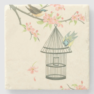 Kleine Vögel gehockt auf einer Niederlassung und Steinuntersetzer