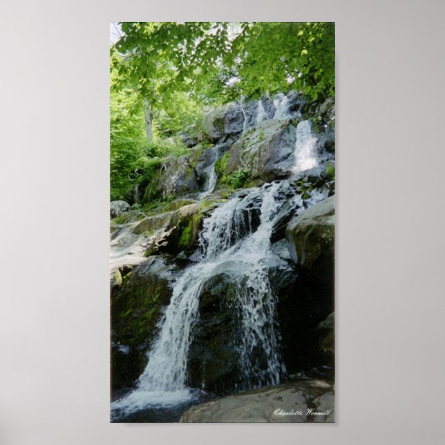 Kleine Wasserläufe Poster (Vorne)