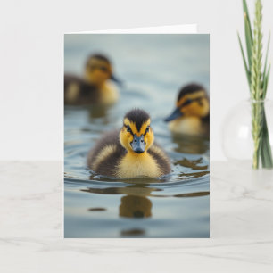 Kleine Wasservogel-Porträtkarte Karte