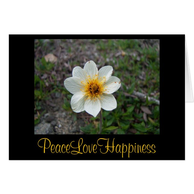 Kleine weiße Blume (Vorderseite (Horizontal))