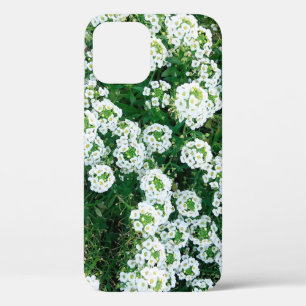 Kleine weiße Blume im Gras, tagsüber in Case-Mate iPhone Hülle