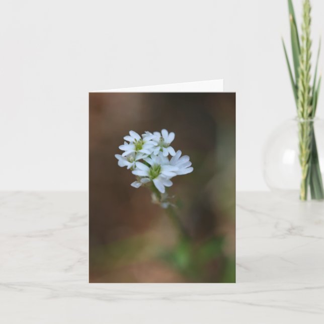 Kleine weiße Blume Notecard Karte (Vorderseite)