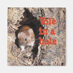 Kleine Wühlmaus in einem Loch-Kühlschrankmagnet Magnet