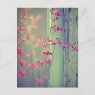 Kleine Zellen Postkarte