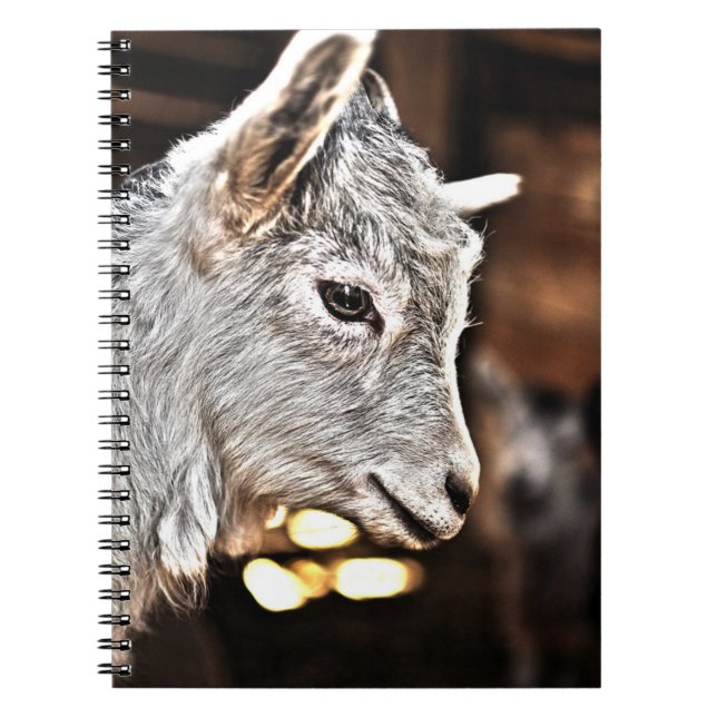 Kleine Ziege Getty Bild-| Notizblock (Vorderseite)