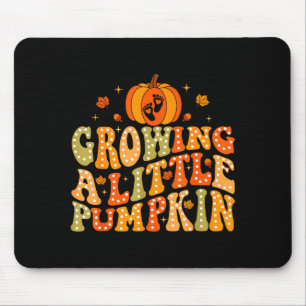 Kleinen Kürbis Anbauen Herbst Schwangerschaft Than Mousepad