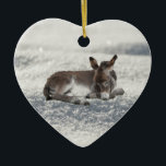 Kleiner Baby-Donkey im Schnee Keramik Ornament<br><div class="desc">Niedlicher kleiner,  grauer Esel schlief im Schnee.</div>