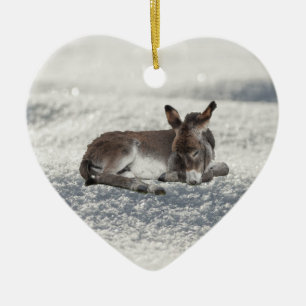 Kleiner Baby-Donkey im Schnee Keramik Ornament