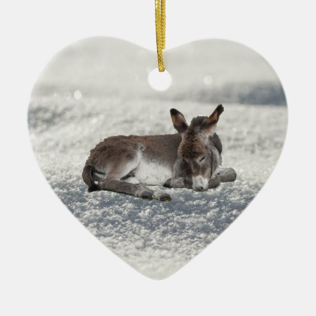 Kleiner Baby-Donkey im Schnee Keramik Ornament (Vorne)