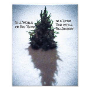 Kleiner Baum Inspirierend Zitat Foto Erweiterung