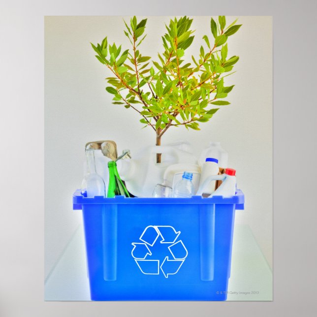 Kleiner Baum Poster (Vorne)