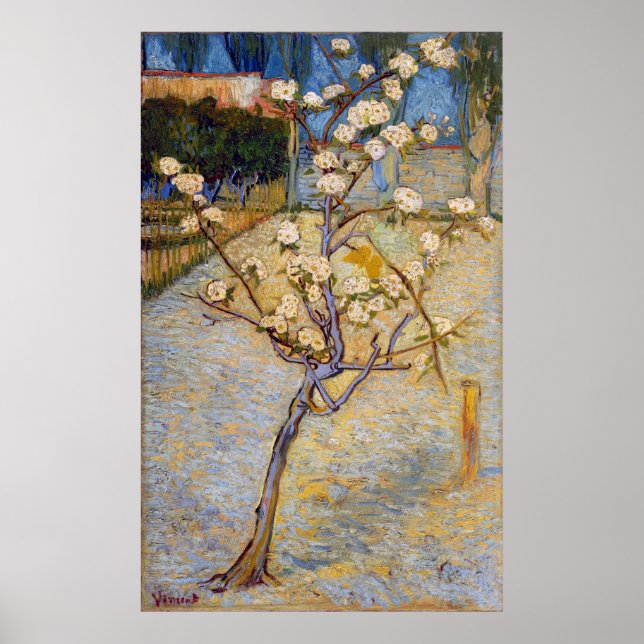 Kleiner Birnbaum in Blossom, Vincent Van Gogh Poster (Vorne)