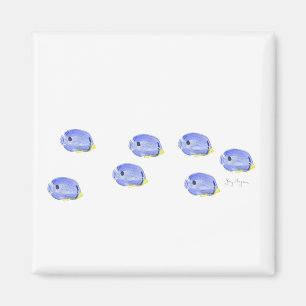 Kleiner blauer Fisch-Magnet Magnet