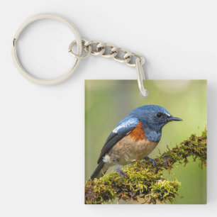 Kleiner blauer Vogel Schlüsselanhänger